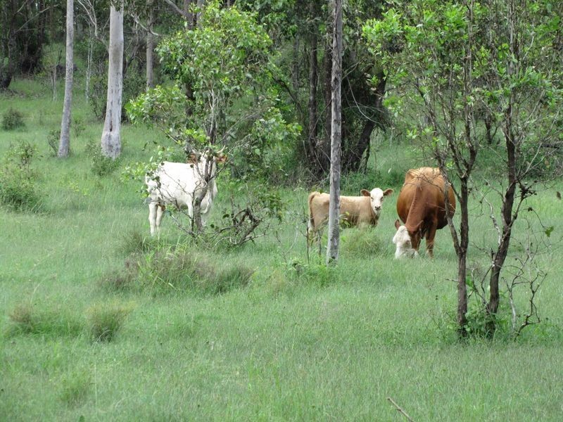 Crowley Vale QLD 4342