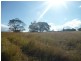 174 Ma Ma Lilydale Road, Ma Ma Creek QLD 4347