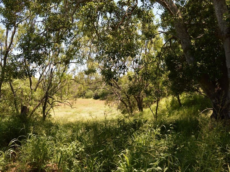 54 Mt Berryman Road, Mount Berryman QLD 4341