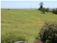 20 Schadwell Road, Blenheim QLD 4341