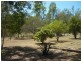 26 Harvey Road, Forest Hill QLD 4342