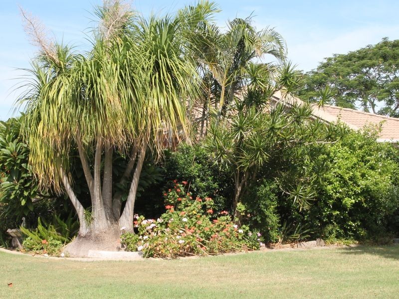 10 Hein Court, Regency Downs QLD 4341