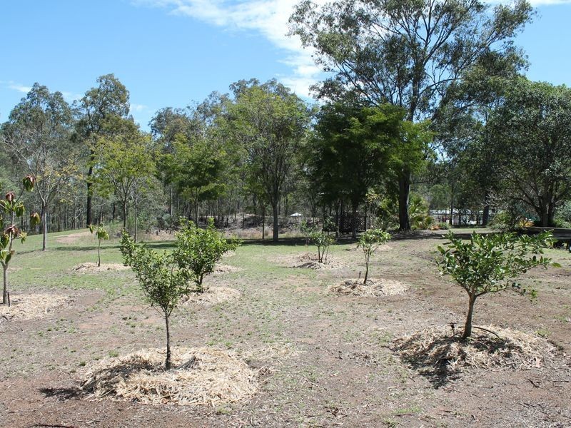 51 Hughes Road, Plainland QLD 4341