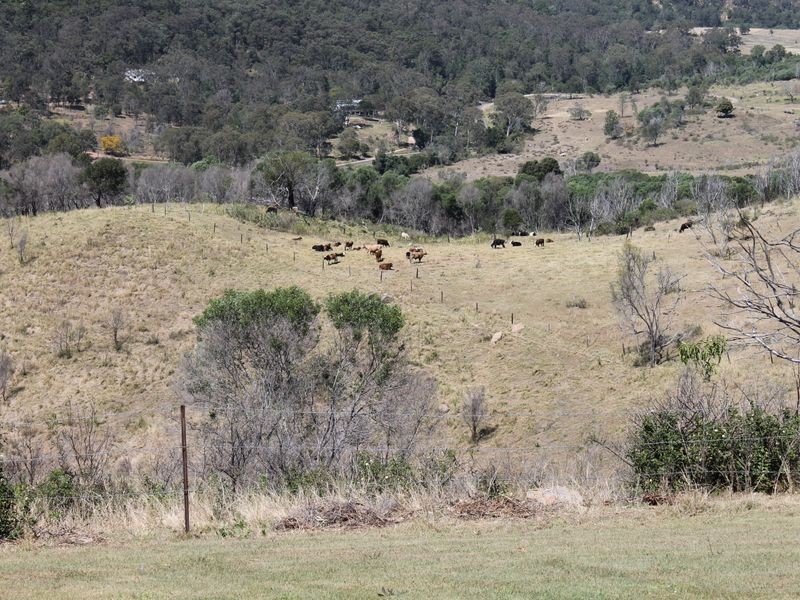 13 Berlin Road, Mount Berryman QLD 4341