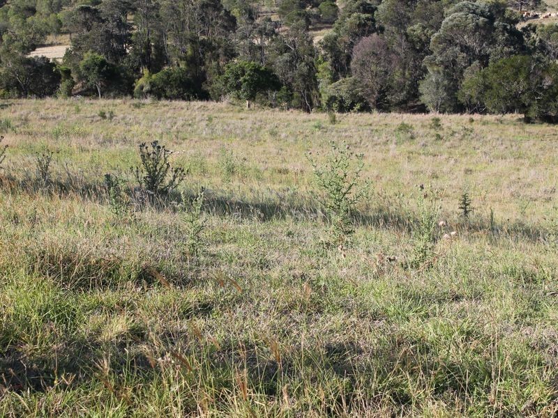 86 Berlins Road, Marburg QLD 4346