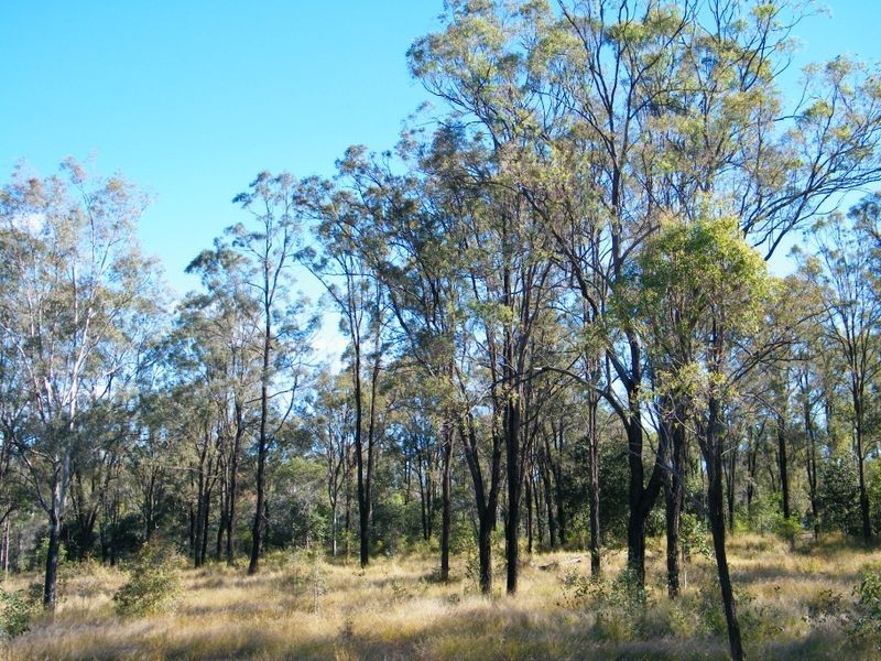 213 Stephenson Crescent, Kensington Grove QLD 4341