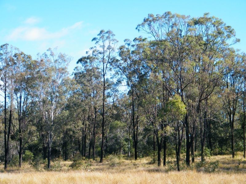 213 Stephenson Crescent, Kensington Grove QLD 4341