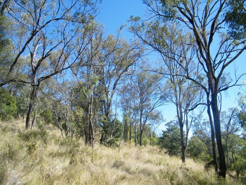 8 Howard Court, Plainland QLD 4341