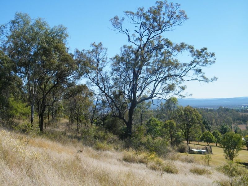 8 Howard Court, Plainland QLD 4341