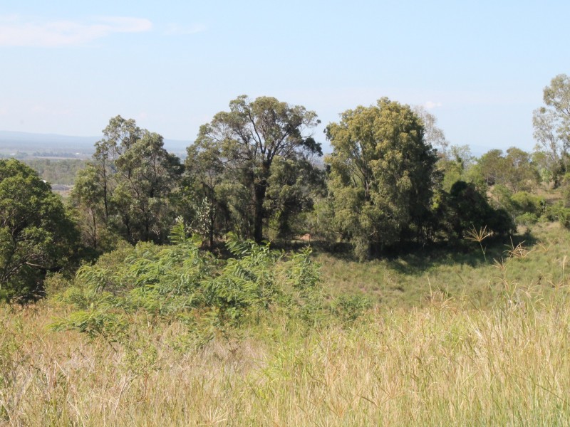 33 Donaldson Road, Plainland QLD 4341