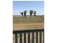 Laidley South QLD 4341