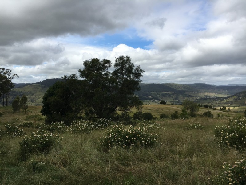 L3, 457 East Egypt Road, Mount Whitestone QLD 4347