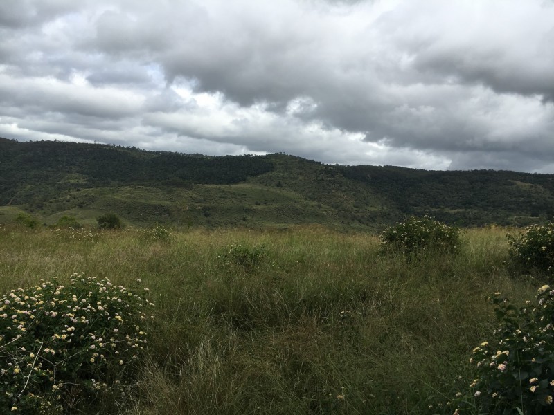 L3, 457 East Egypt Road, Mount Whitestone QLD 4347