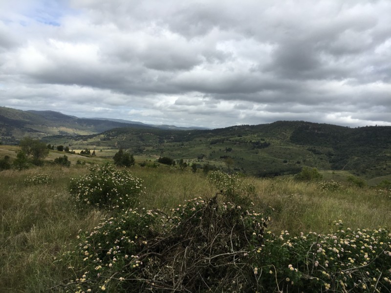 L3, 457 East Egypt Road, Mount Whitestone QLD 4347