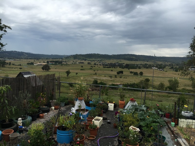 99 Zischke Road, Regency Downs QLD 4341