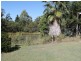 13 Australia II Drive, Kensington Grove QLD 4341