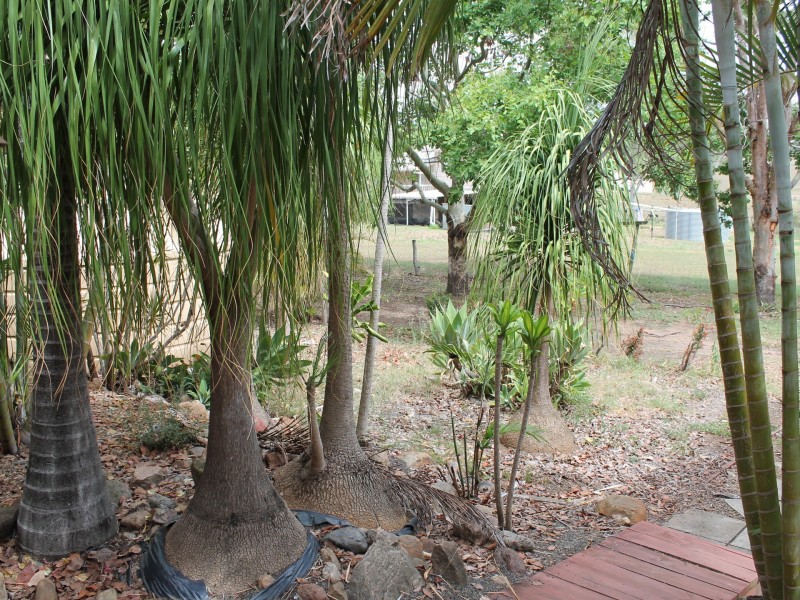 22 Egret Court, Laidley Heights QLD 4341