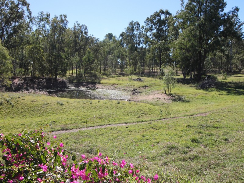 1 Lyrebird Road, Regency Downs QLD 4341
