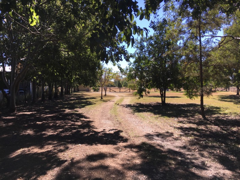 19 Denis Court, Summerholm QLD 4341