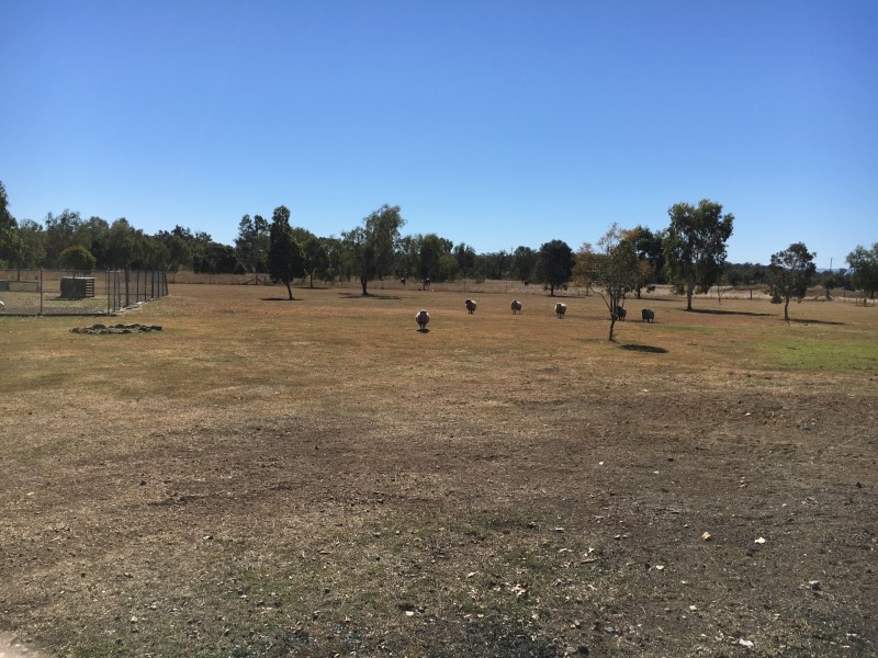 19 Denis Court, Summerholm QLD 4341