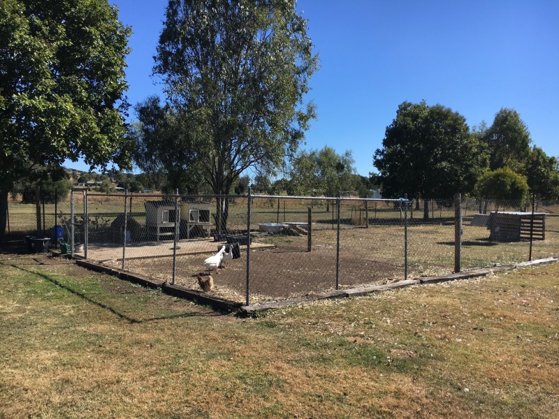 19 Denis Court, Summerholm QLD 4341