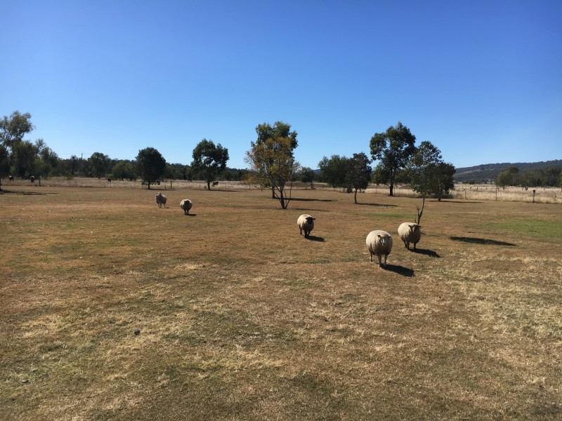 19 Denis Court, Summerholm QLD 4341