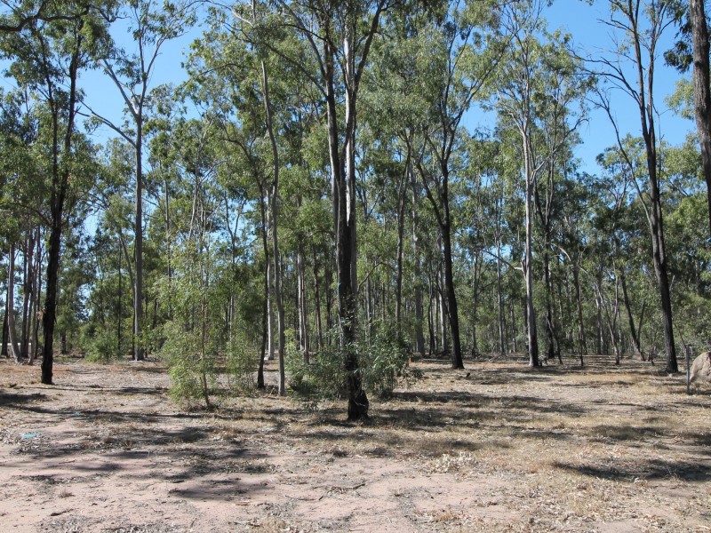 33 Harvey Road, Forest Hill QLD 4342