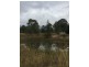 57 STAATZ QUARRY ROAD, Regency Downs QLD 4341