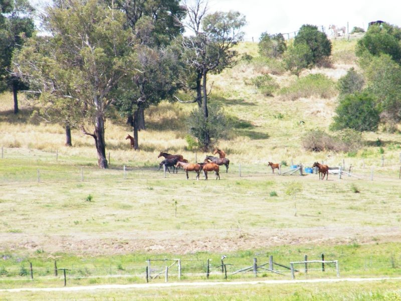 578/ Lowood-Minden Road, Minden QLD 4311