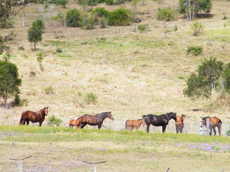 578/ Lowood-Minden Road, Minden QLD 4311