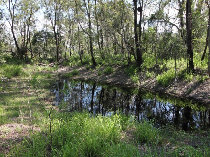 45 Gehrke Road, Glenore Grove QLD 4342