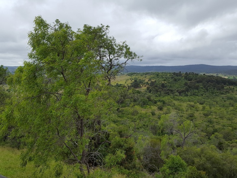 Laidley Creek West QLD 4341