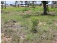 Gatton QLD 4343