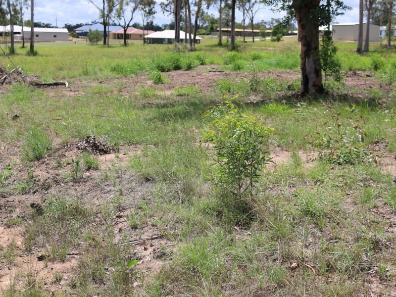 Gatton QLD 4343