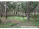 13 Andrews Ct, Regency Downs QLD 4341