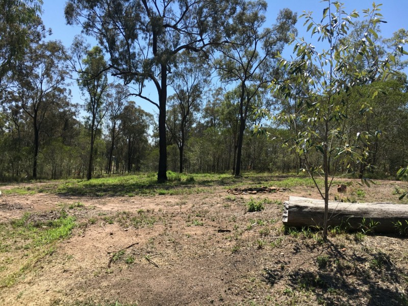 19 Bentley Dr, Regency Downs QLD 4341