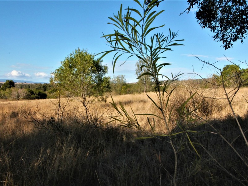 437-477 Rosewood Marburg Rd, Tallegalla QLD 4340