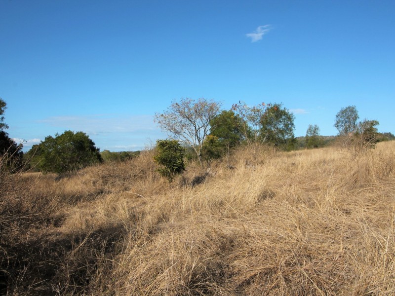 437-477 Rosewood Marburg Rd, Tallegalla QLD 4340