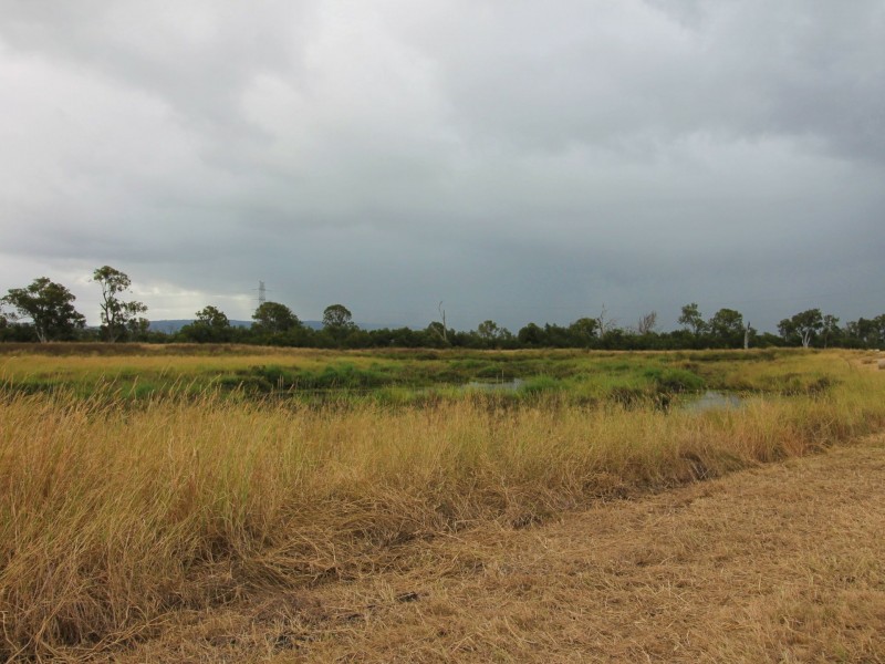 800 Rosewood Warrill View Rd, Lower Mount Walker QLD 4340
