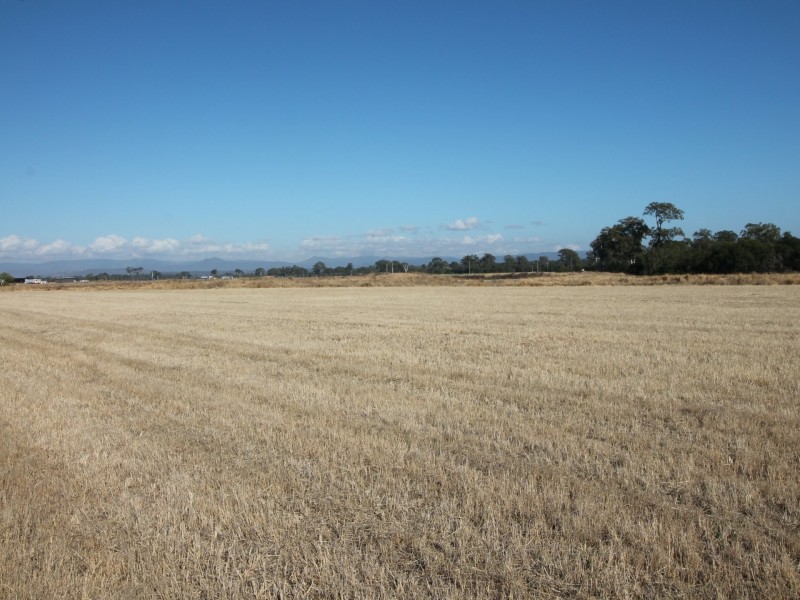 800 Rosewood Warrill View Rd, Lower Mount Walker QLD 4340