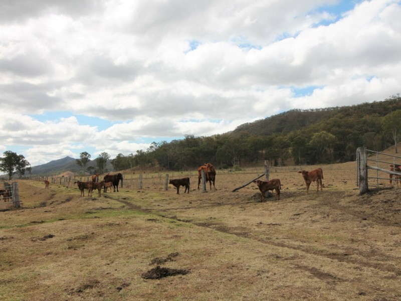 279 Mulgowie Rd, Townson QLD 4341