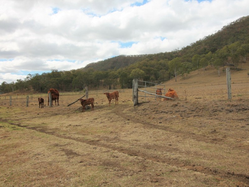 279 Mulgowie Rd, Townson QLD 4341