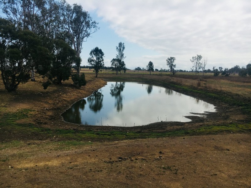 16 Court Ave S, Prenzlau QLD 4311