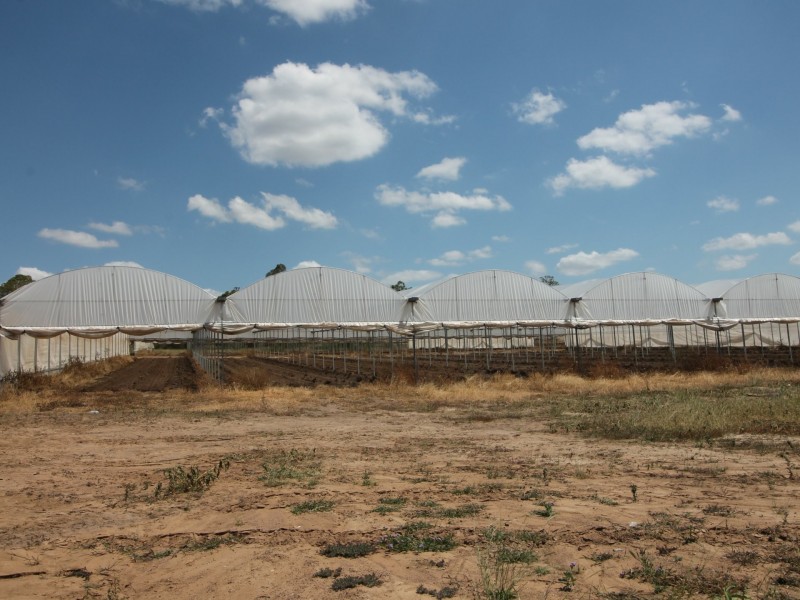 19 Redwood Drive, Brightview QLD 4311