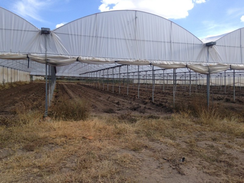 19 Redwood Drive, Brightview QLD 4311