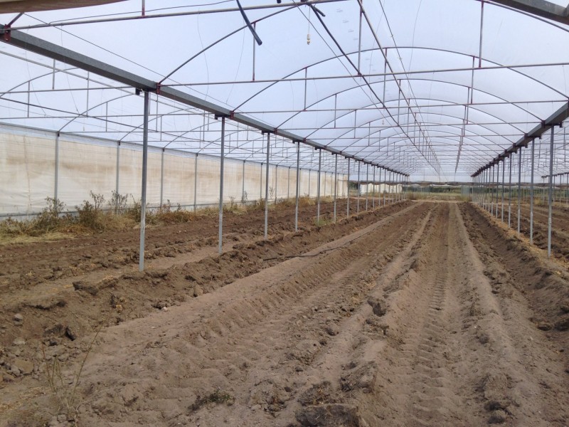 19 Redwood Drive, Brightview QLD 4311