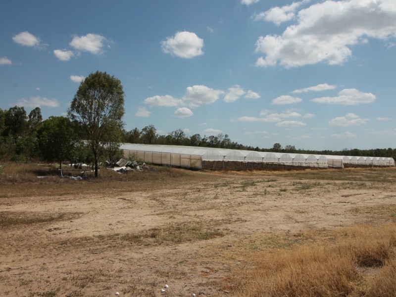 19 Redwood Drive, Brightview QLD 4311