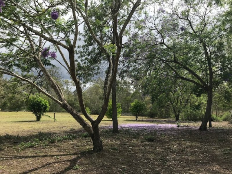 249 Wills Road, Coominya QLD 4311