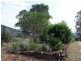 Mulgowie QLD 4341