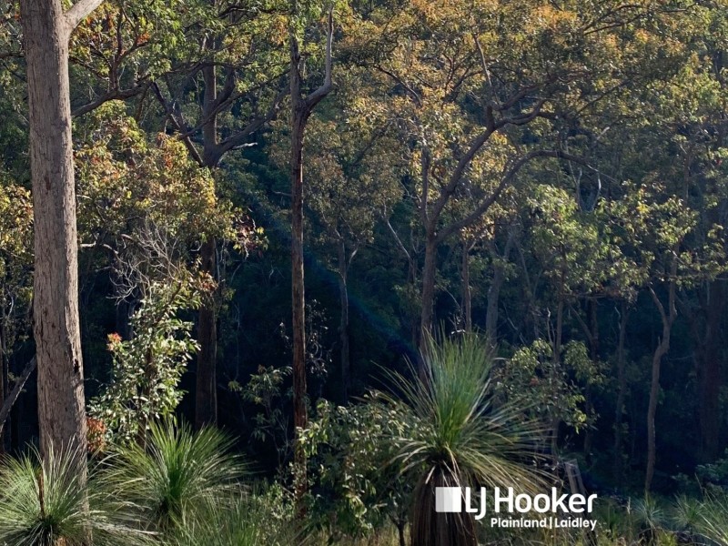 1412 Seventeen Mile Rd, Seventeen Mile QLD 4344